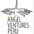 AVP Ventures